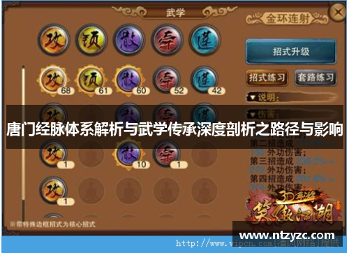 唐门经脉体系解析与武学传承深度剖析之路径与影响